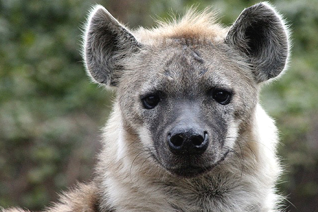 ���ݒ����n�C�G�i�ɋC�Â��ꂸ�ɑł��@�Ƃ́H�n�C�G�i�΍�̗\�h���I